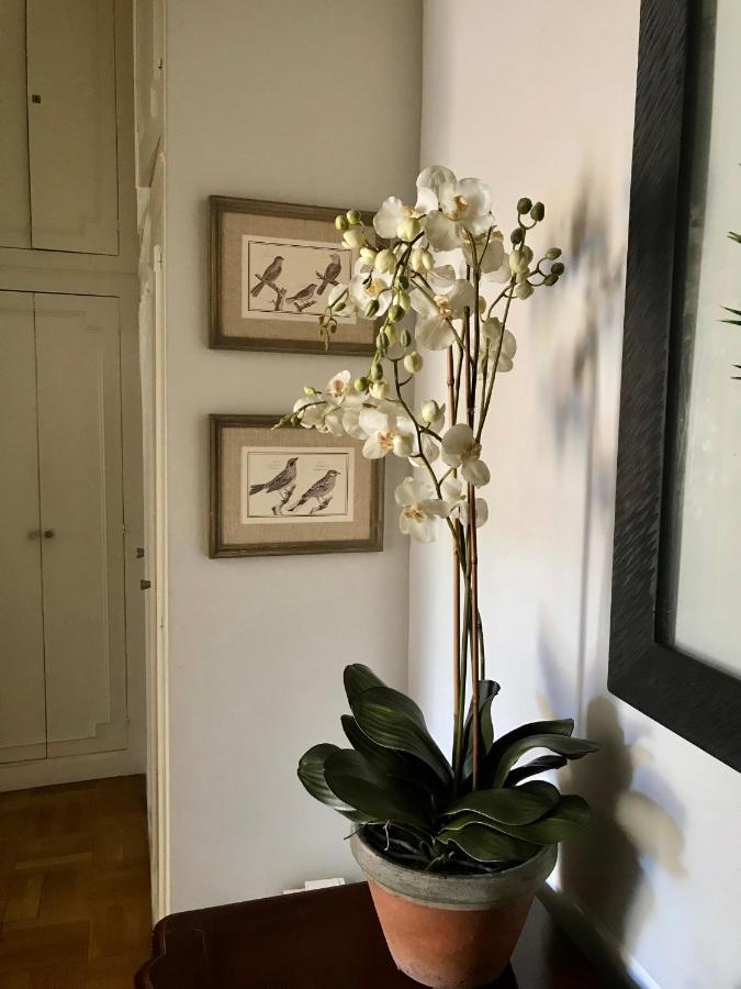 Magnifique 2 Pieces De 65M2 -Quartier Des Musiciens Nice Exterior foto